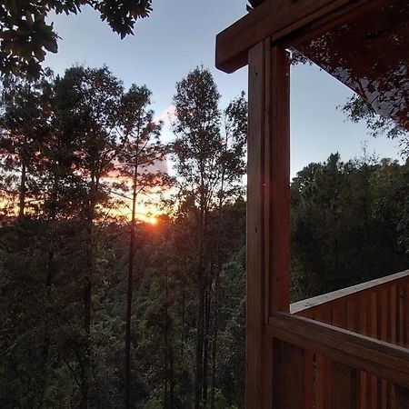 Cabana En El Bosque De San Jose Del Pacifico מראה חיצוני תמונה