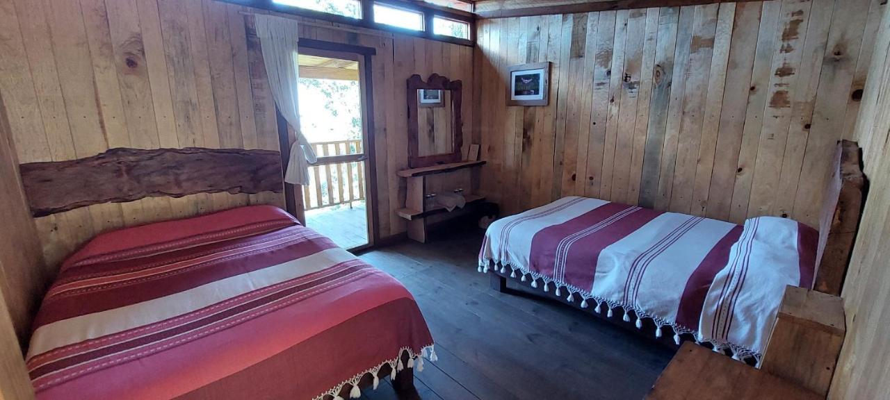 Cabana En El Bosque De San Jose Del Pacifico מראה חיצוני תמונה