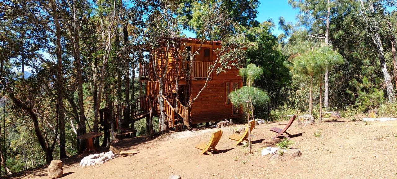 Cabana En El Bosque De San Jose Del Pacifico מראה חיצוני תמונה
