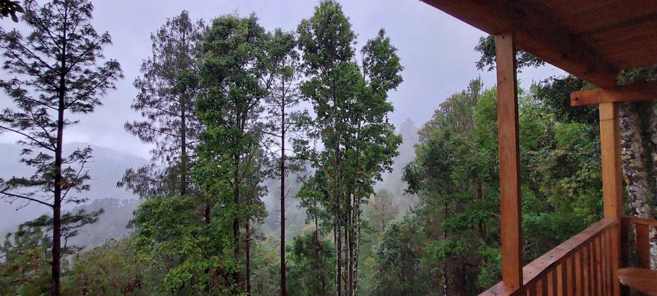 Cabana En El Bosque De San Jose Del Pacifico מראה חיצוני תמונה