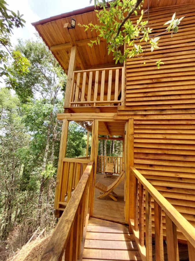 Cabana En El Bosque De San Jose Del Pacifico מראה חיצוני תמונה